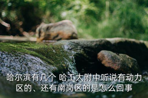 哈爾濱有幾個(gè) 哈工大附中聽說(shuō)有動(dòng)力區(qū)的、還有南崗區(qū)的是怎么回事
