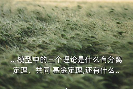 ...模型中的三個理論是什么有分離定理、共同 基金定理,還有什么...