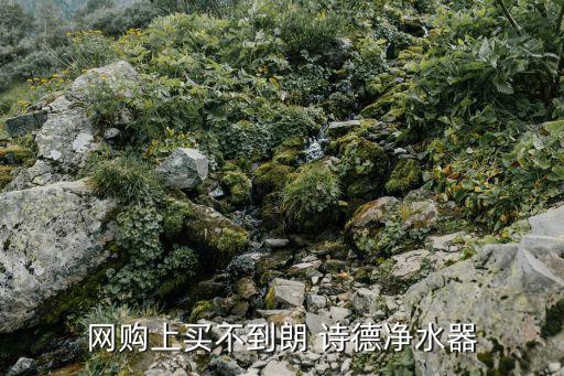 網(wǎng)購(gòu)上買不到朗 詩德凈水器