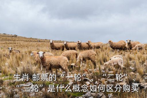  生肖 郵票的“一輪”、“二輪”、“ 三輪”是什么概念如何區(qū)分購(gòu)買