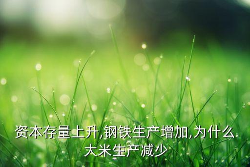 資本存量上升,鋼鐵生產增加,為什么 大米生產減少