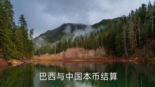  巴西與中國本幣結算