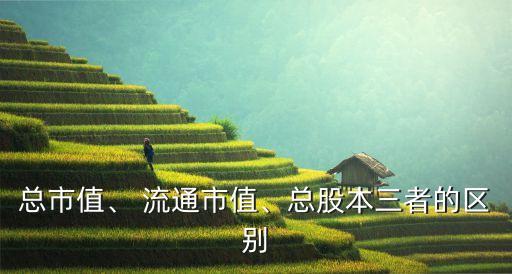 總市值、 流通市值、總股本三者的區(qū)別