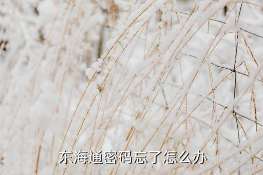 東?；鸸?/></a></span><span id=