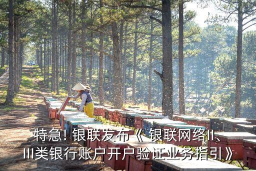 特急! 銀聯(lián)發(fā)布《 銀聯(lián)網(wǎng)絡(luò)II、III類銀行賬戶開戶驗證業(yè)務(wù)指引》