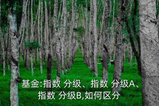  基金:指數(shù) 分級、指數(shù) 分級A、指數(shù) 分級B,如何區(qū)分