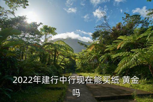 2022年建行中行現(xiàn)在能買(mǎi)紙 黃金嗎