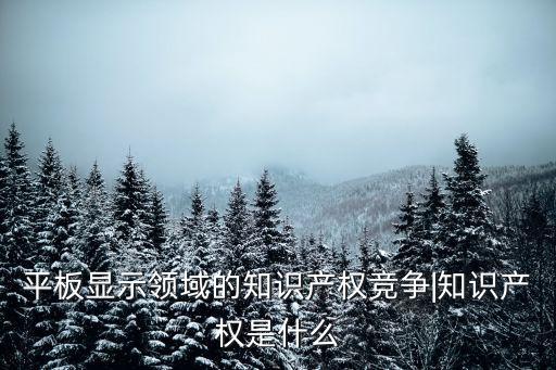 平板顯示領域的知識產(chǎn)權(quán)競爭|知識產(chǎn)權(quán)是什么