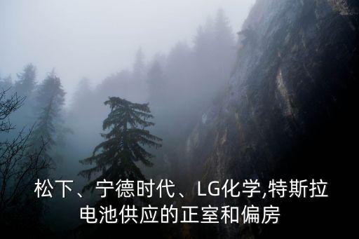  松下、寧德時(shí)代、LG化學(xué),特斯拉電池供應(yīng)的正室和偏房