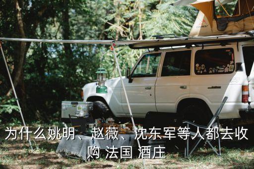 為什么姚明、趙薇、沈東軍等人都去收購(gòu) 法國(guó) 酒莊