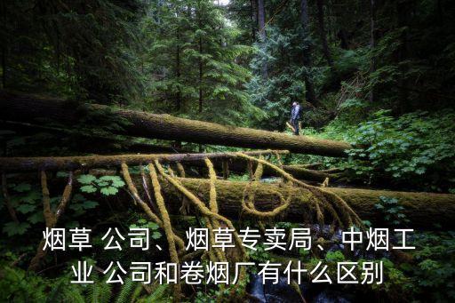  煙草 公司、 煙草專賣局、中煙工業(yè) 公司和卷煙廠有什么區(qū)別