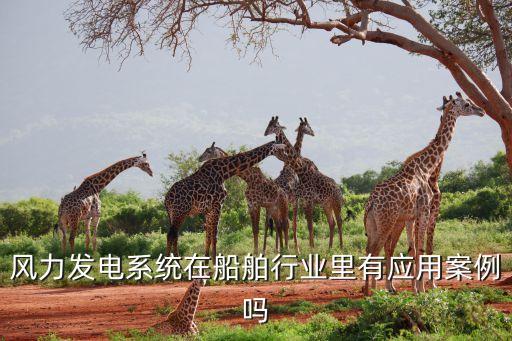 風力發(fā)電系統(tǒng)在船舶行業(yè)里有應(yīng)用案例嗎