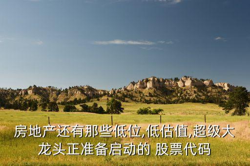 房地產(chǎn)還有那些低位,低估值,超級大龍頭正準(zhǔn)備啟動(dòng)的 股票代碼