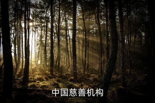 中華環(huán)?；饡?huì)綠色發(fā)展基金,白香東 中華環(huán)保基金會(huì)