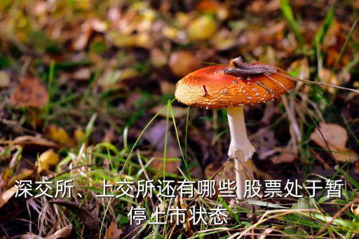 深交所、上交所還有哪些 股票處于暫停上市狀態(tài)