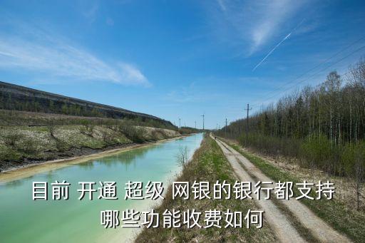 目前 開通 超級 網銀的銀行都支持哪些功能收費如何