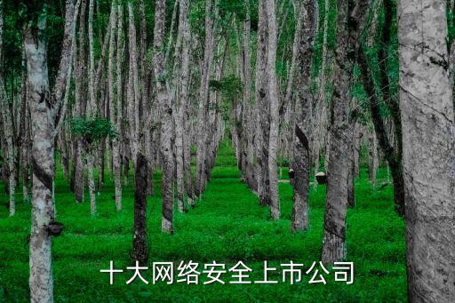 十大網絡安全上市公司