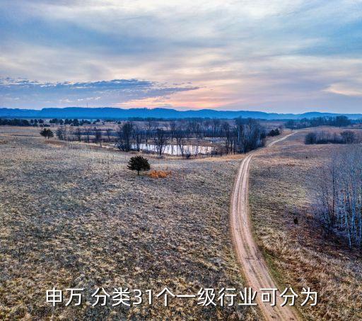 申萬(wàn) 分類31個(gè)一級(jí)行業(yè)可分為