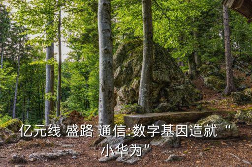 億元線 盛路 通信:數字基因造就“小華為”