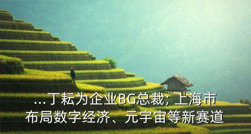 ...丁耘為企業(yè)BG總裁; 上海市布局?jǐn)?shù)字經(jīng)濟(jì)、元宇宙等新賽道