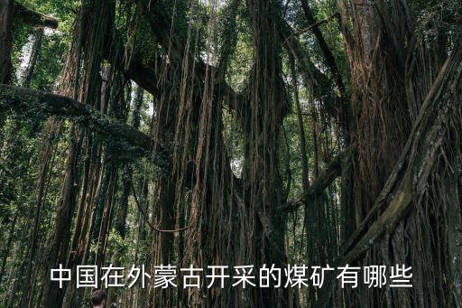 中國(guó)在外蒙古開采的煤礦有哪些