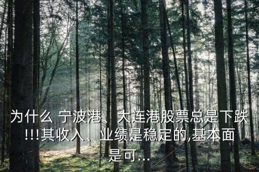 為什么 寧波港、大連港股票總是下跌!!!其收入、業(yè)績是穩(wěn)定的,基本面是可...