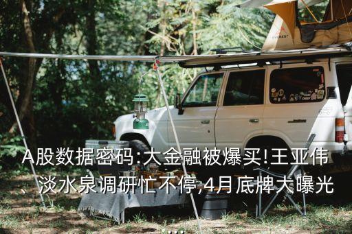 A股數(shù)據(jù)密碼:大金融被爆買!王亞偉、淡水泉調(diào)研忙不停,4月底牌大曝光...