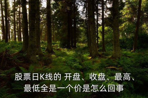  股票日K線的 開盤、收盤、最高、最低全是一個(gè)價(jià)是怎么回事