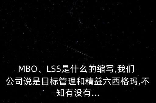 MBO、LSS是什么的縮寫,我們 公司說是目標(biāo)管理和精益六西格瑪,不知有沒有...